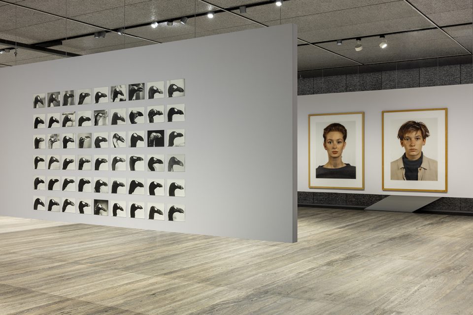 Immagine della mostra Typologien alla Fondazione Prada, incentrata sulla tipologia fotografica tedesca del novecento.